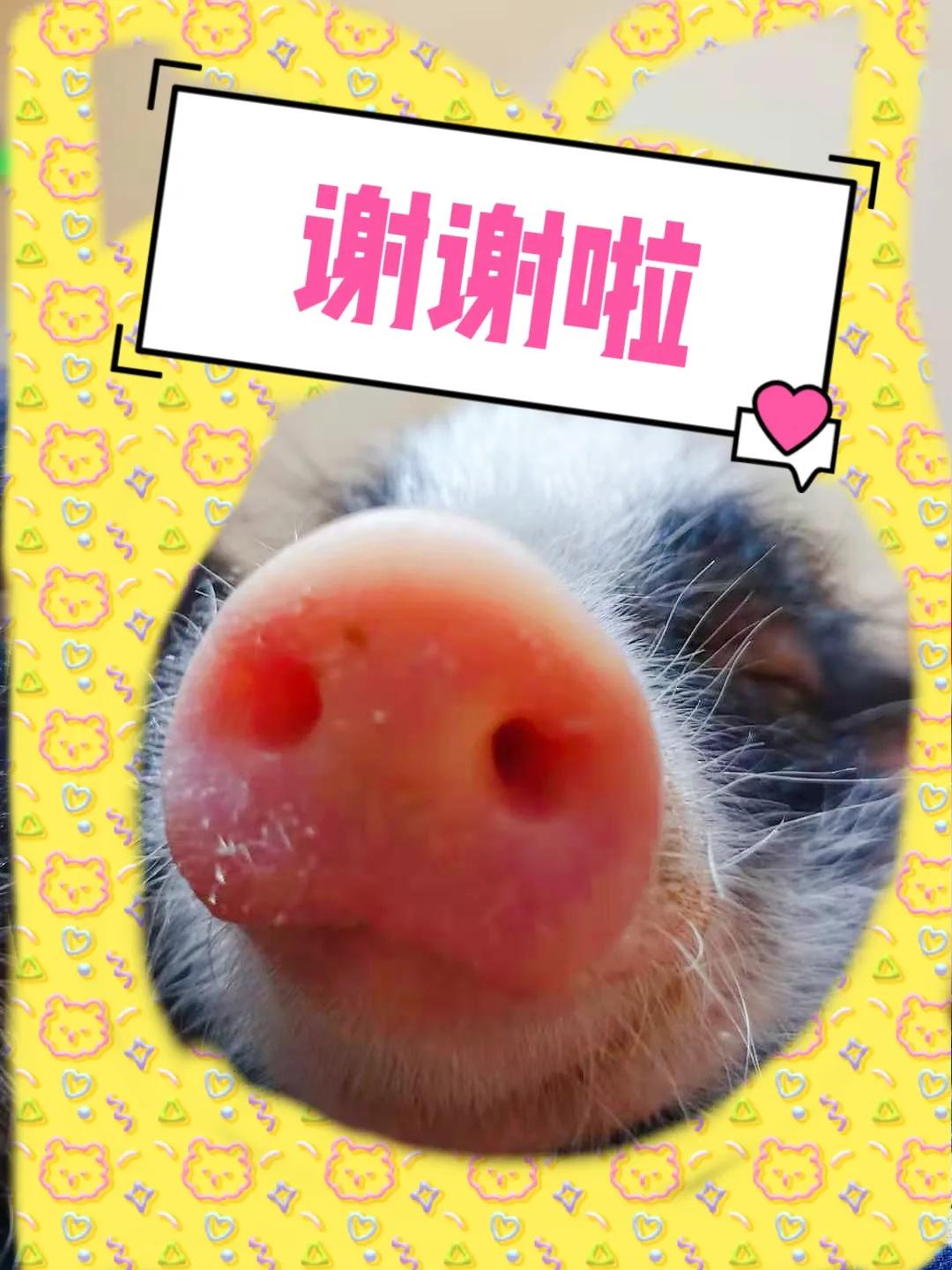 普通人买什么手表好,买手表去哪里买最好