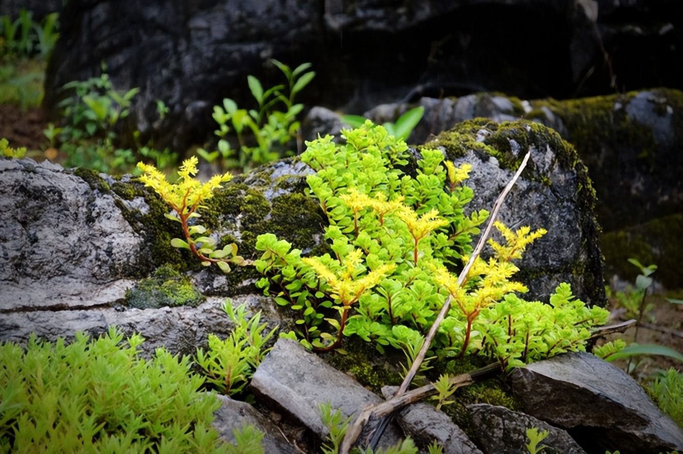 宣恩一座小城,湖北宣恩美丽的小城
