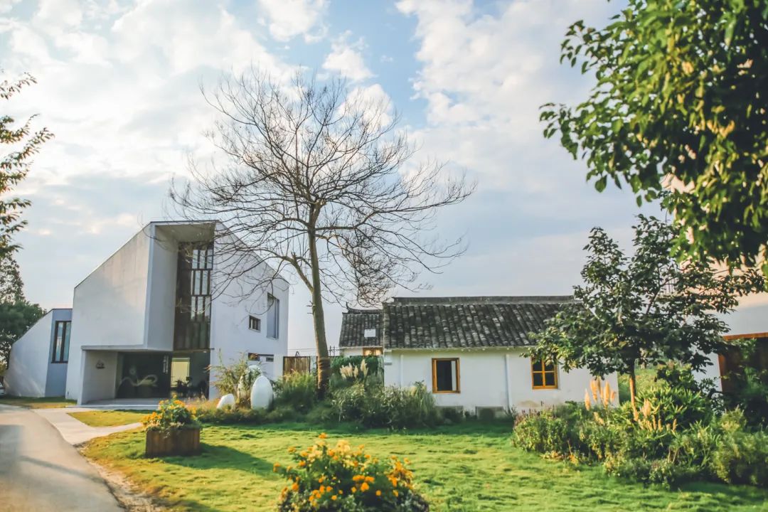 解析全国16个整村运营,解码全国16个整村运营经典案例