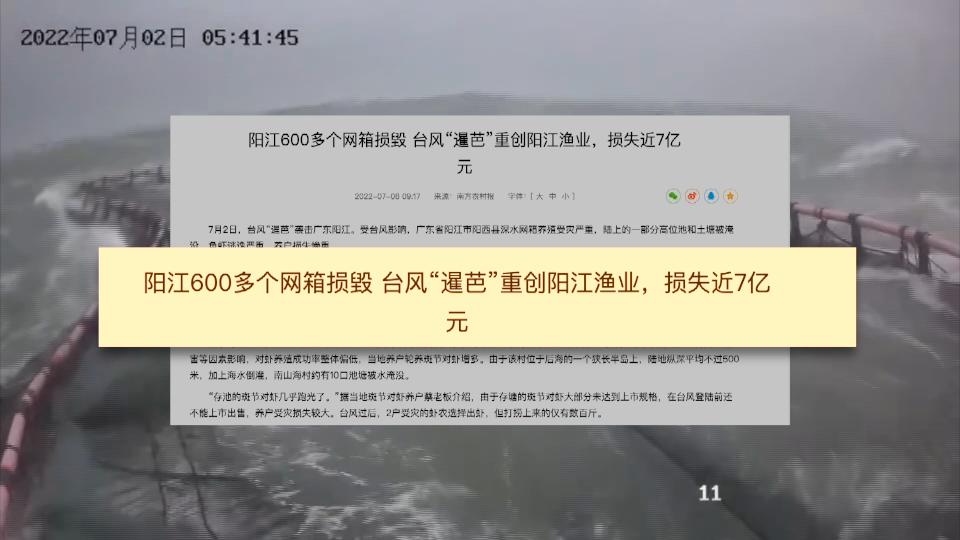 香港海域突现百万鲳鱼，背后原因令人唏嘘