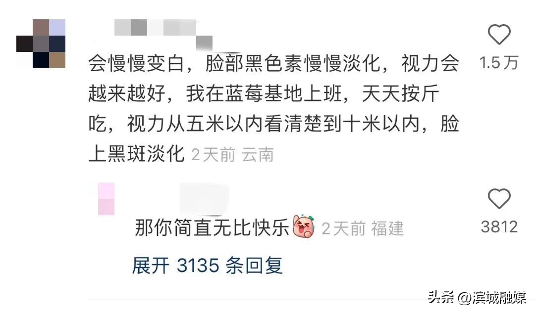 每天吃一盒蓝莓,每天吃多少蓝莓对眼睛有益