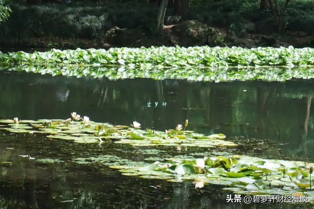 长沙第一波赏荷地图,杭州夏日赏荷地图