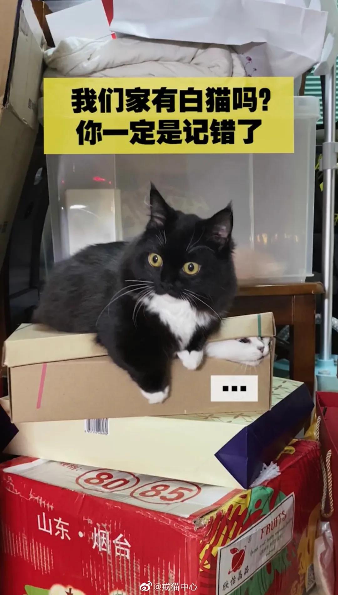 家里监控回放太揪心,家庭监控真实事件