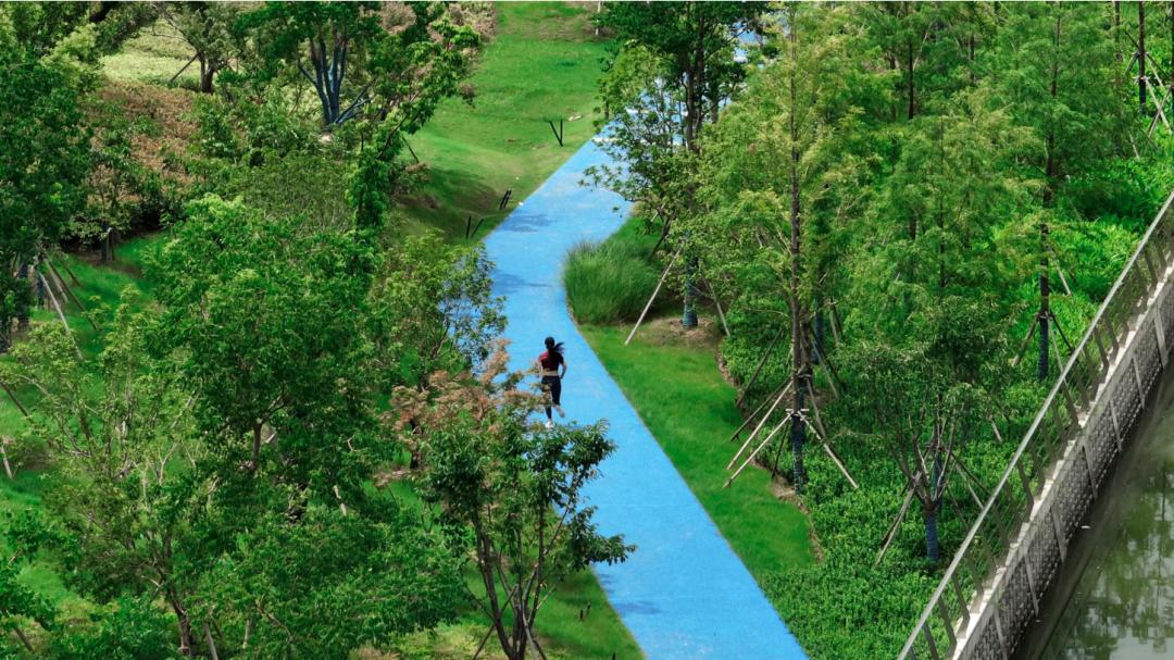 金基新睿樾府绕城,金基新睿樾府对比保利文华