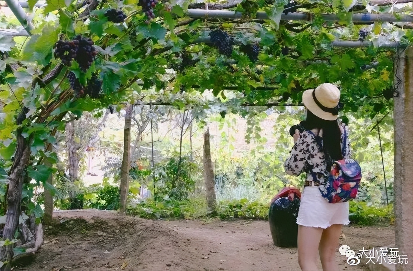 北京周边也有这么多超好逛的小镇、古镇、小山村，门票全免费！