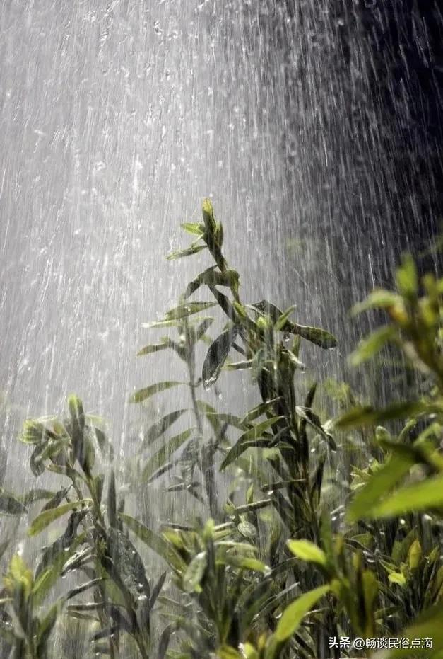 今天是农历五月十七，啥日子？下雨好不好？农谚早有预兆！