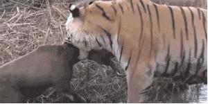 全面普及女子防身术真的有用吗,女子防身术有实战作用吗