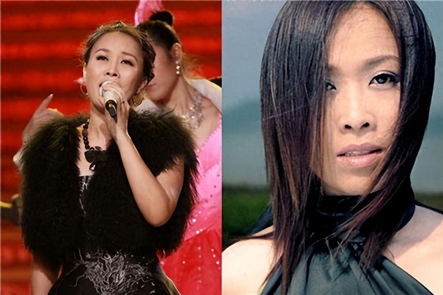 那英的辛酸经历,成名之路那英完整版