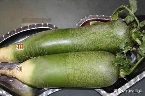 买萝卜是不是沉底不好,冬藏萝卜不出芽不糠的最好方法