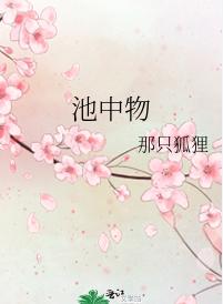 6本轻松风趣的小说推荐,推荐几本很有创意的小说