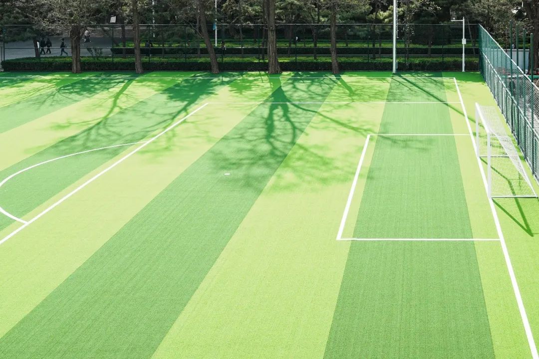 足球场改造扩建,最新足球场开放