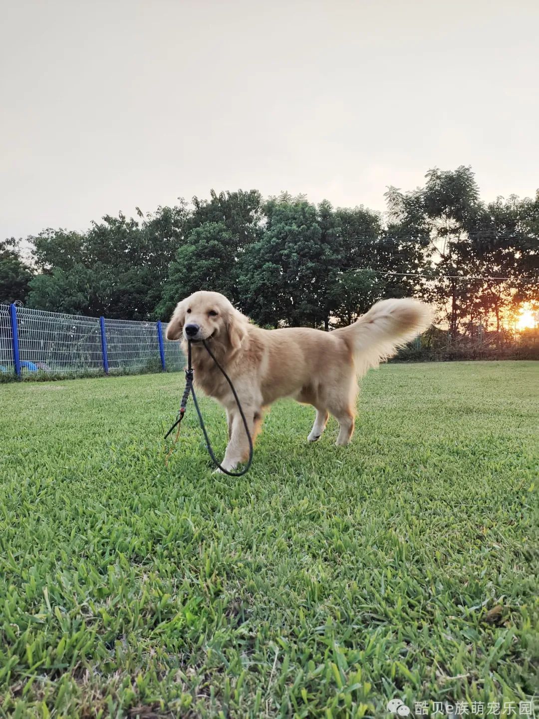 酷贝现在怎样了,你踩过坑吗测试