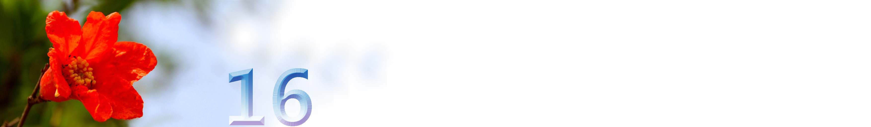 五月石榴花开的唯美诗句,关于石榴花的美文和诗句