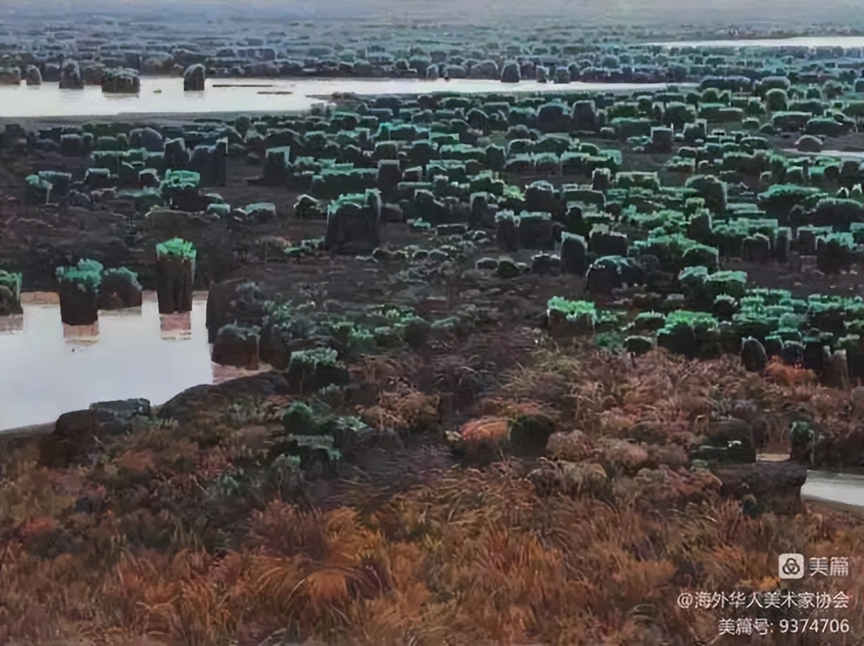 春天里画展,春天里海外