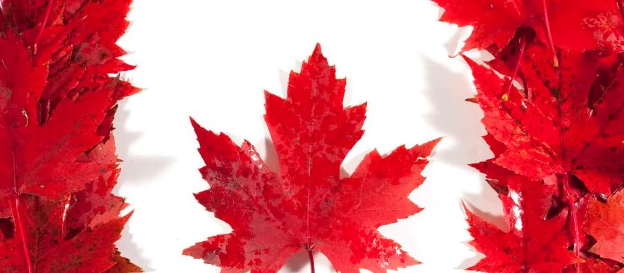 加拿大移民l阿尔伯塔省,又冷又冷门,有着不可错过的移民机会