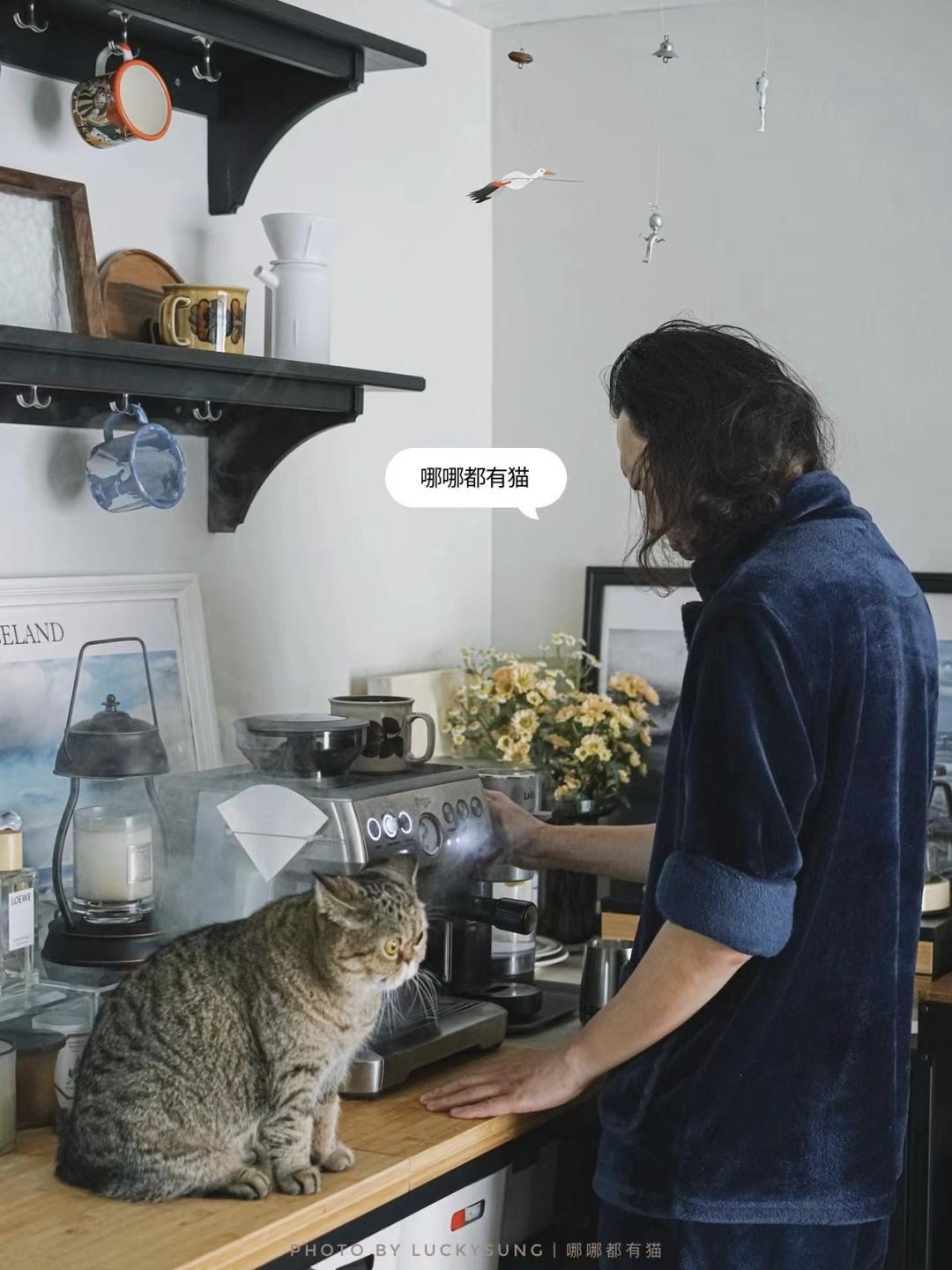 她丁克7年，75㎡的房子越住越大：不完美、不合理，但我喜欢