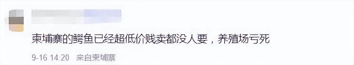 柬埔寨卖肉,柬埔寨路边摊