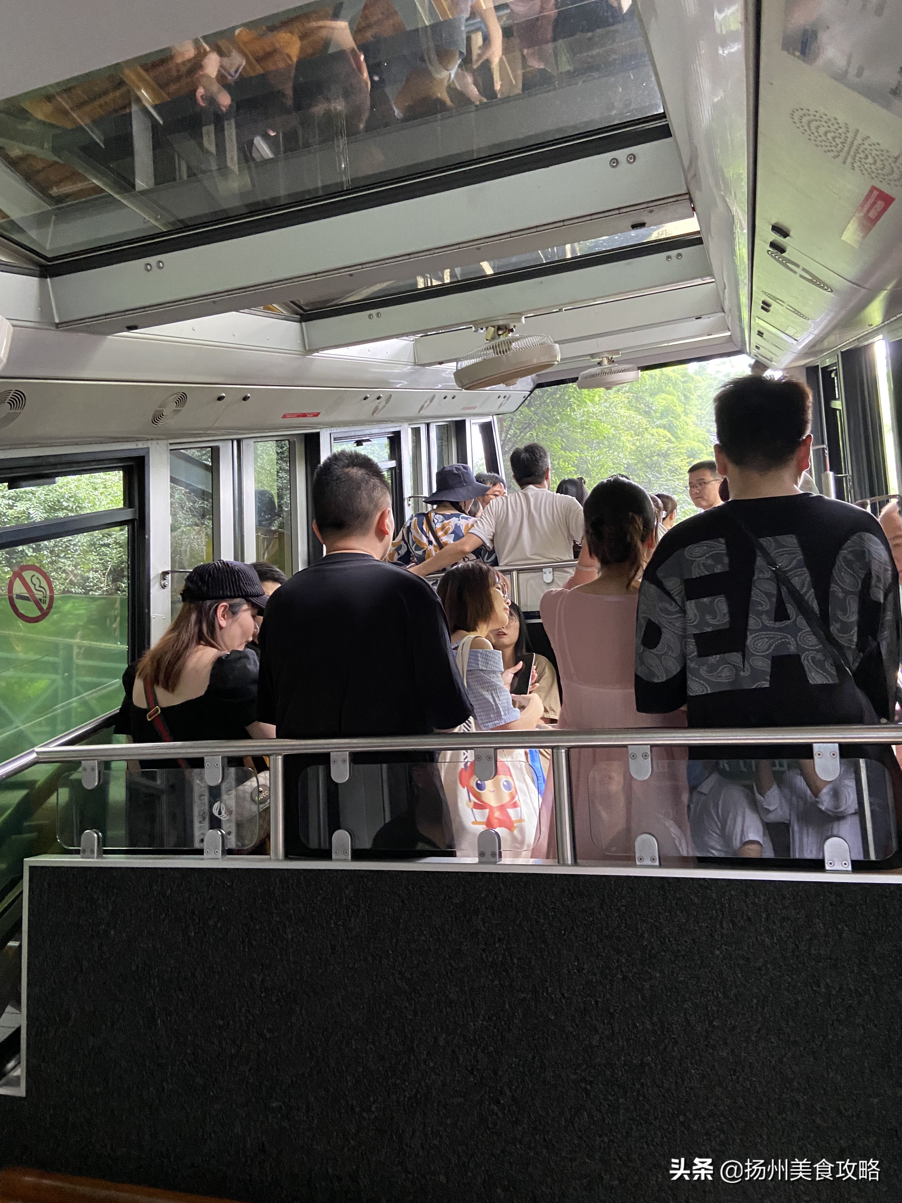 天目湖南山竹海附近游玩,常州天目湖南山竹海免费