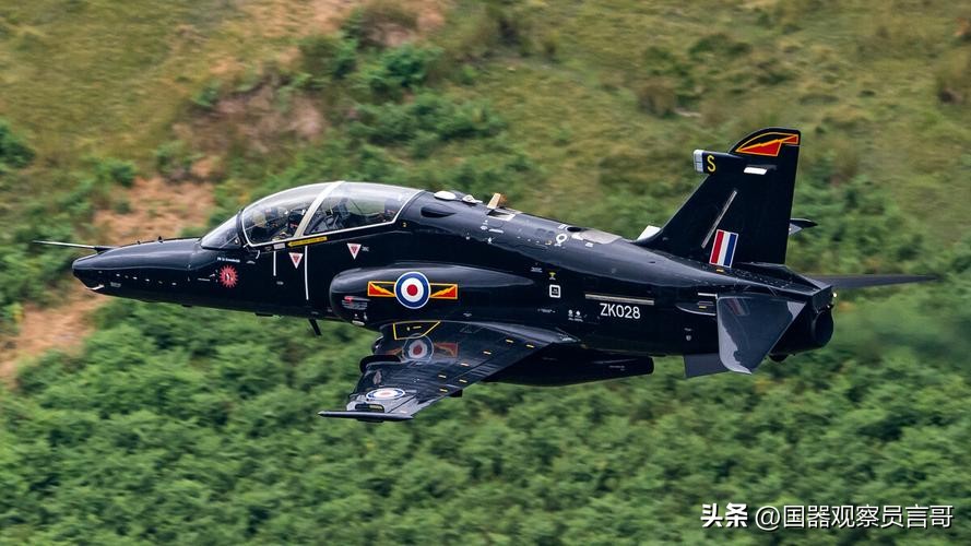 阿联酋l15猎鹰教练机飞行表演,l15高级教练机最新消息
