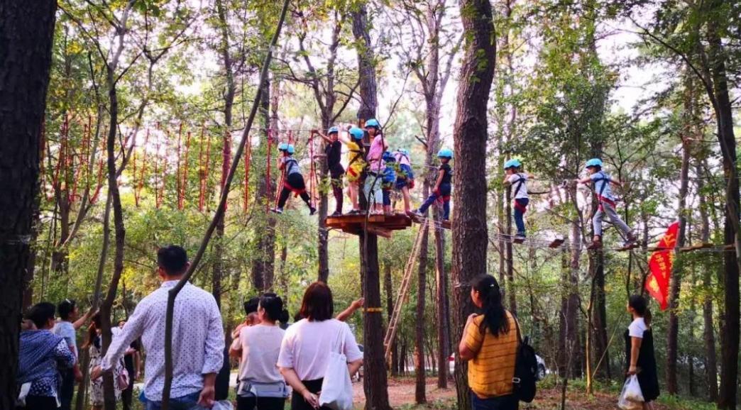 300亩主题农场,300亩农场年入千万