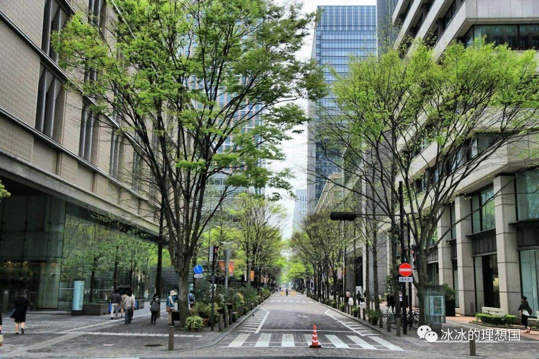 whereisjackma？马云行踪终于曝光了