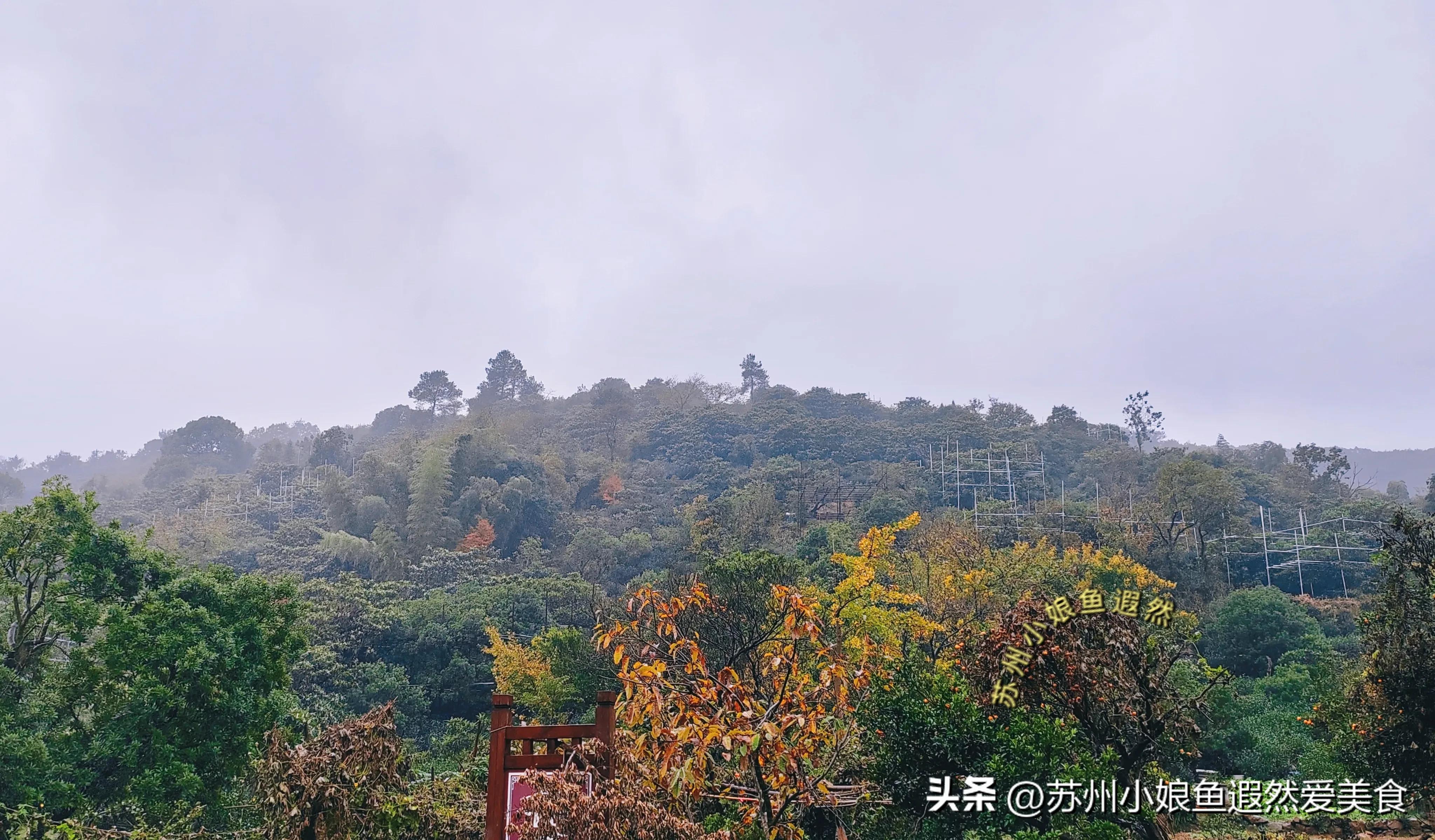 苏州古寨旅游攻略,苏州一日游攻略探索更好玩的景点
