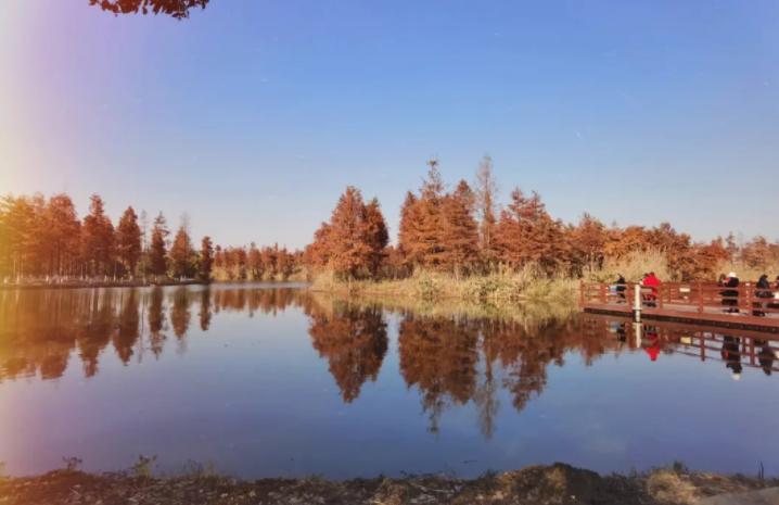 苏州最适合旅游的地方,苏州最有烟火气老街