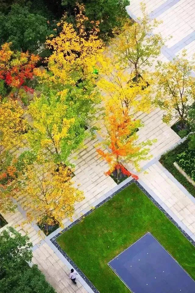 草坪都有哪些病虫害及防治方法,草坪病虫害防治的基本原则是什么