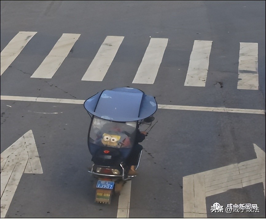 车牌被曝光,车牌被曝光名单