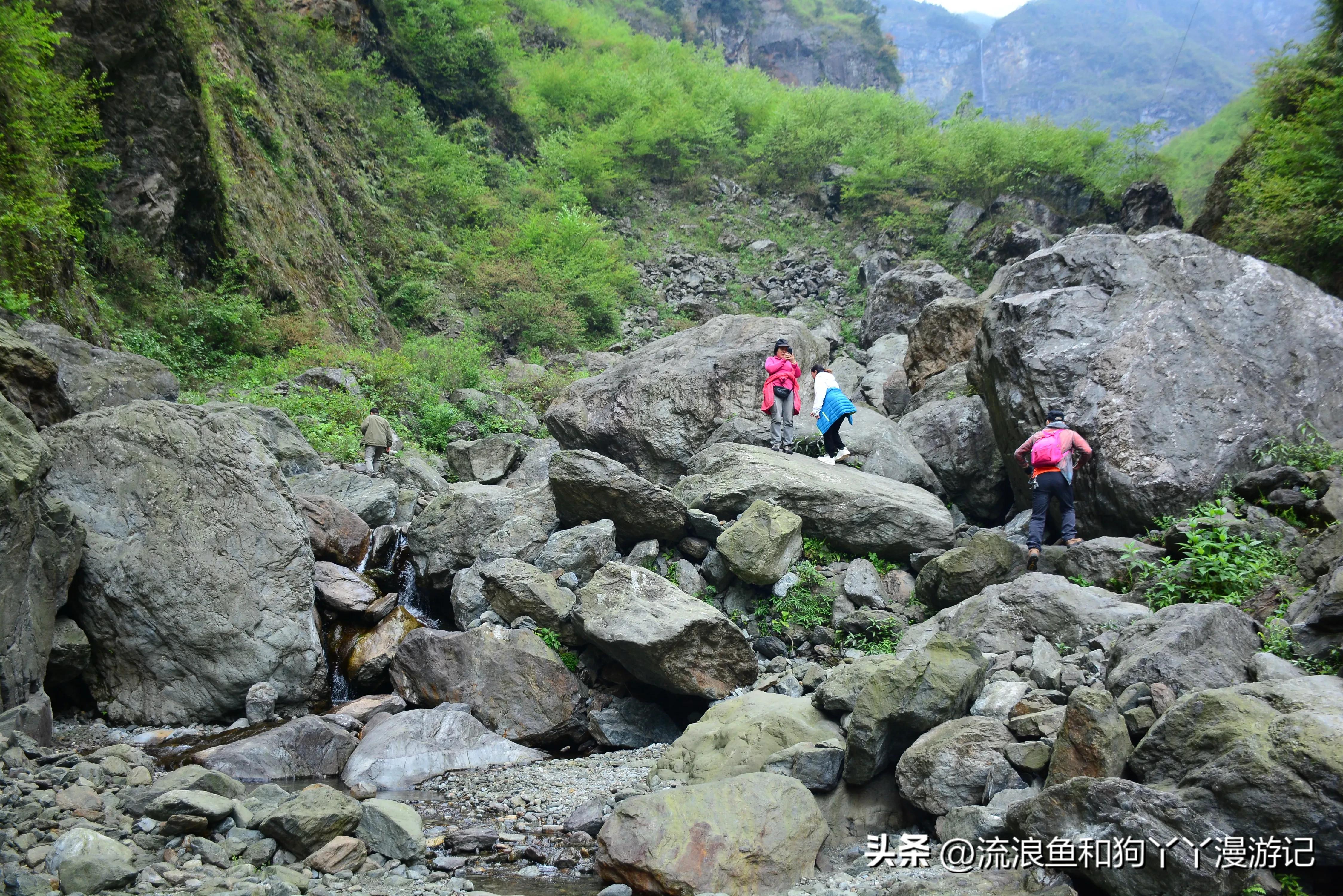 四月份成都近郊一日游好去处,2022成都近郊看雪一日游最佳去处