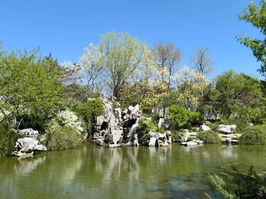 谁是影像机皇,谁才是手机机皇