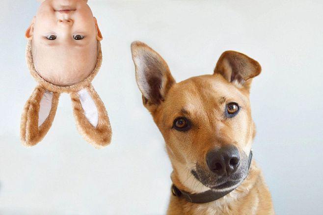 宠物去世很难过,宠物离世我们应该如何面对