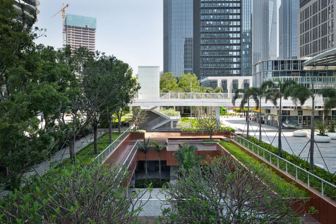 深圳宝安体育场滨海廊桥,深圳宝安滨海廊桥主体项目