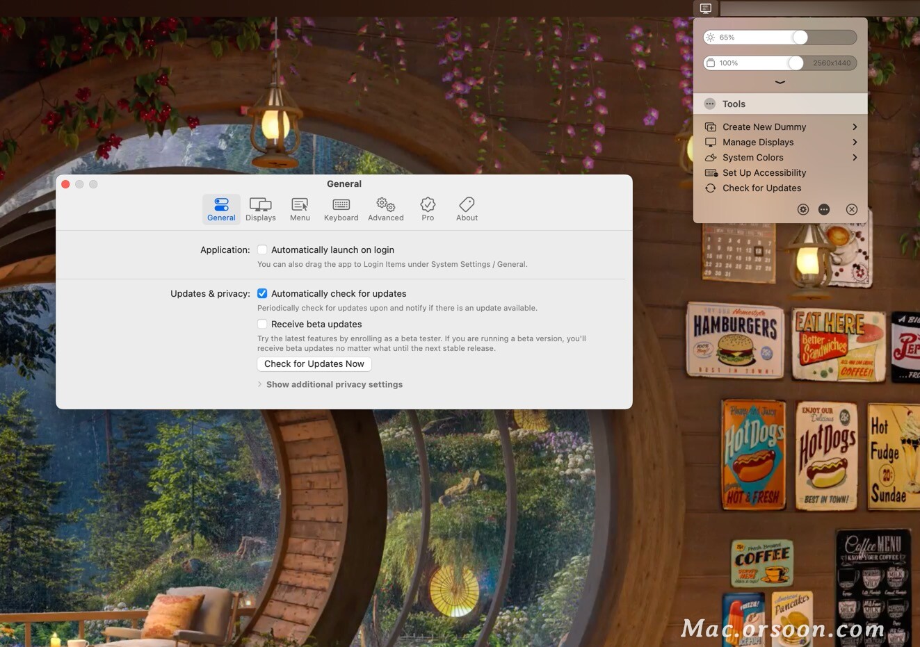 betterdisplaypromac,betterdisplayproformac