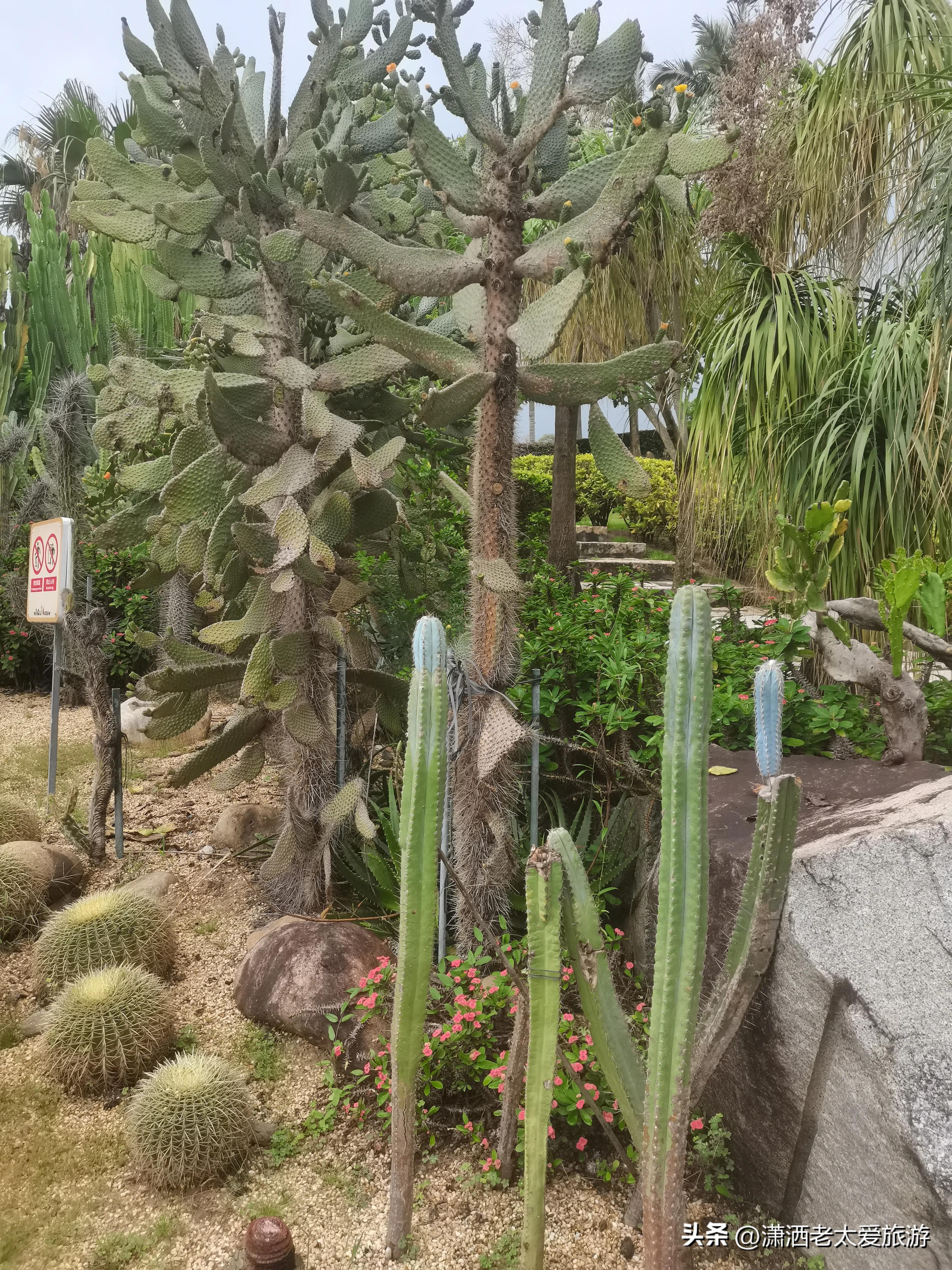 厦门3天2晚自由行1299,厦门旅游攻略3天2晚自由行2月