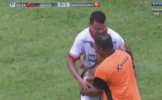 闯进球场、捡到奖杯、接受采访…汪星人和世界杯的缘分也太深了