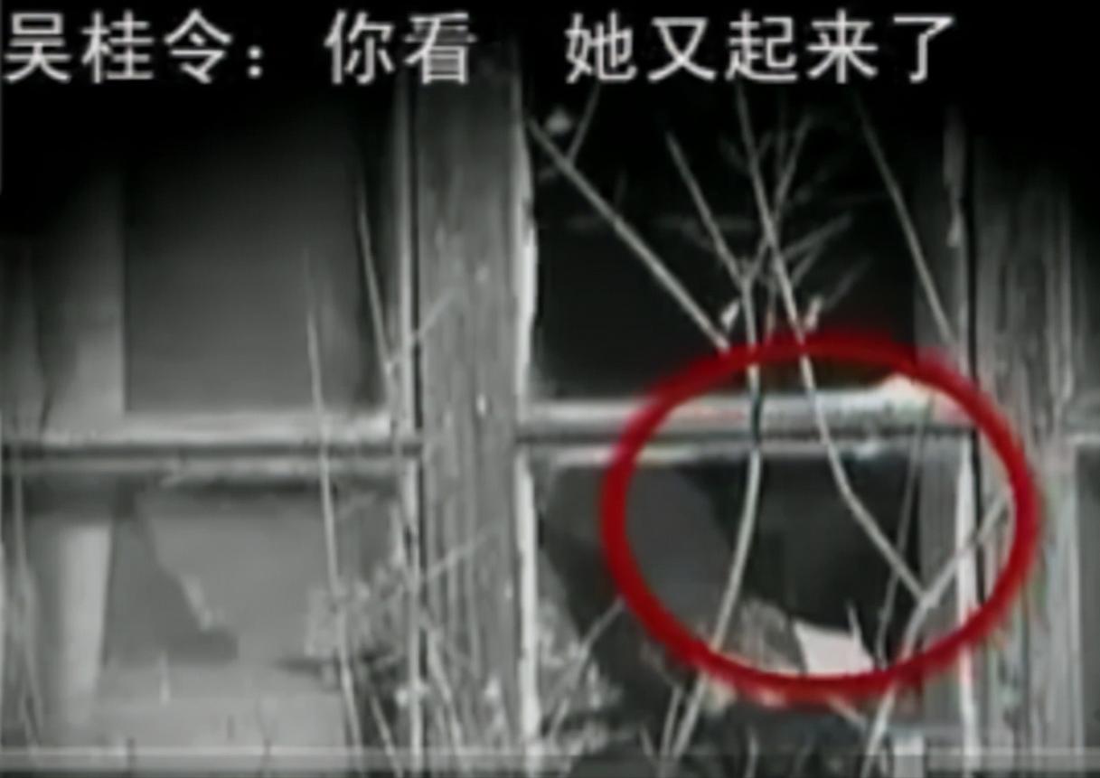 08年，河北女孩“瘫痪”卧床20年，姐姐安上监控后，戳穿多年*局骗**