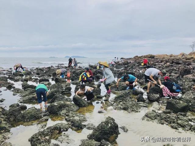 海岸线：海南岛西海岸之儋州——找寻隐秘在千年时光里的独特美景