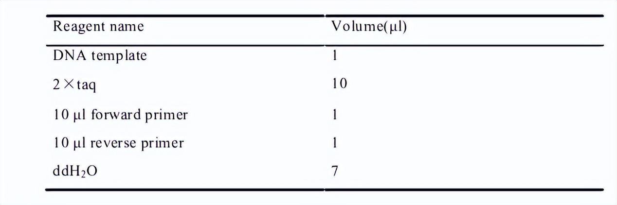 维生素d对神经系统的作用,维生素D在人体内的生理机能