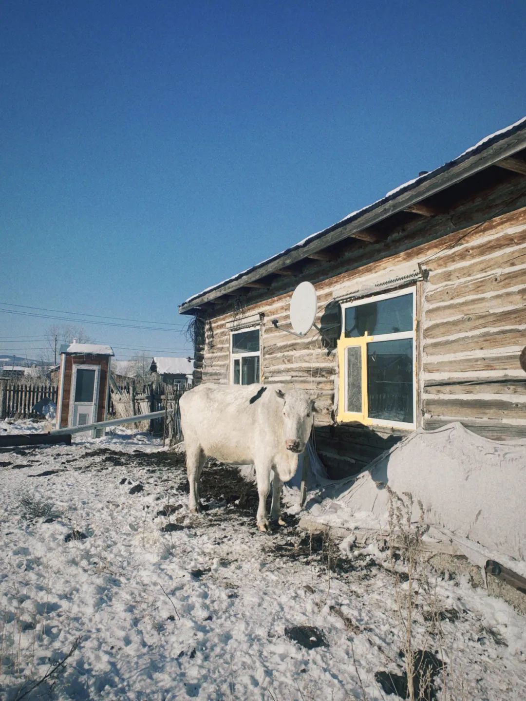 90后夫妻生4胞胎小伙卖房凑50万,90后夫妻卖500万房到内蒙古当农民