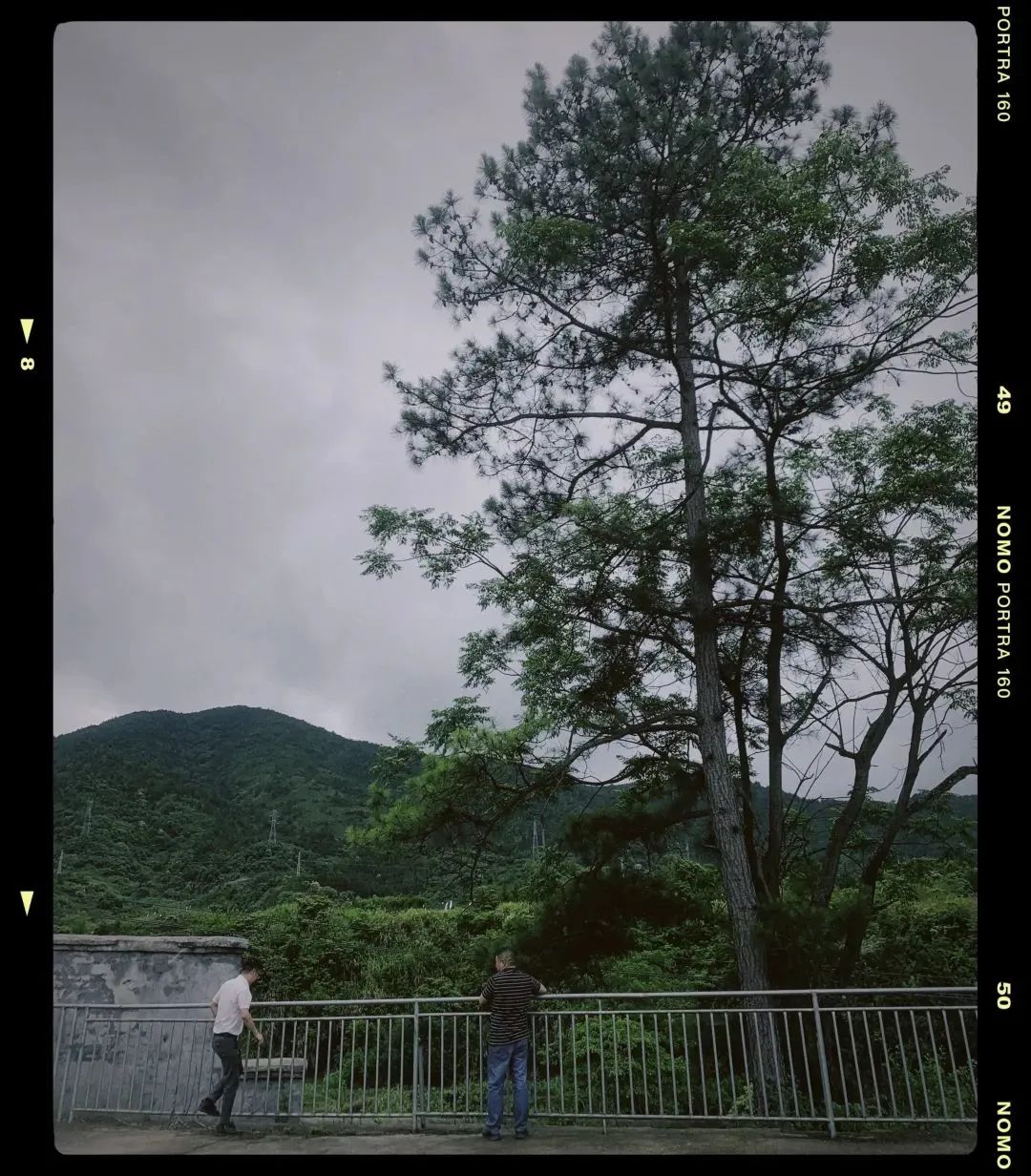 抖音正能量文案100句,近期收藏的高级无风格文案