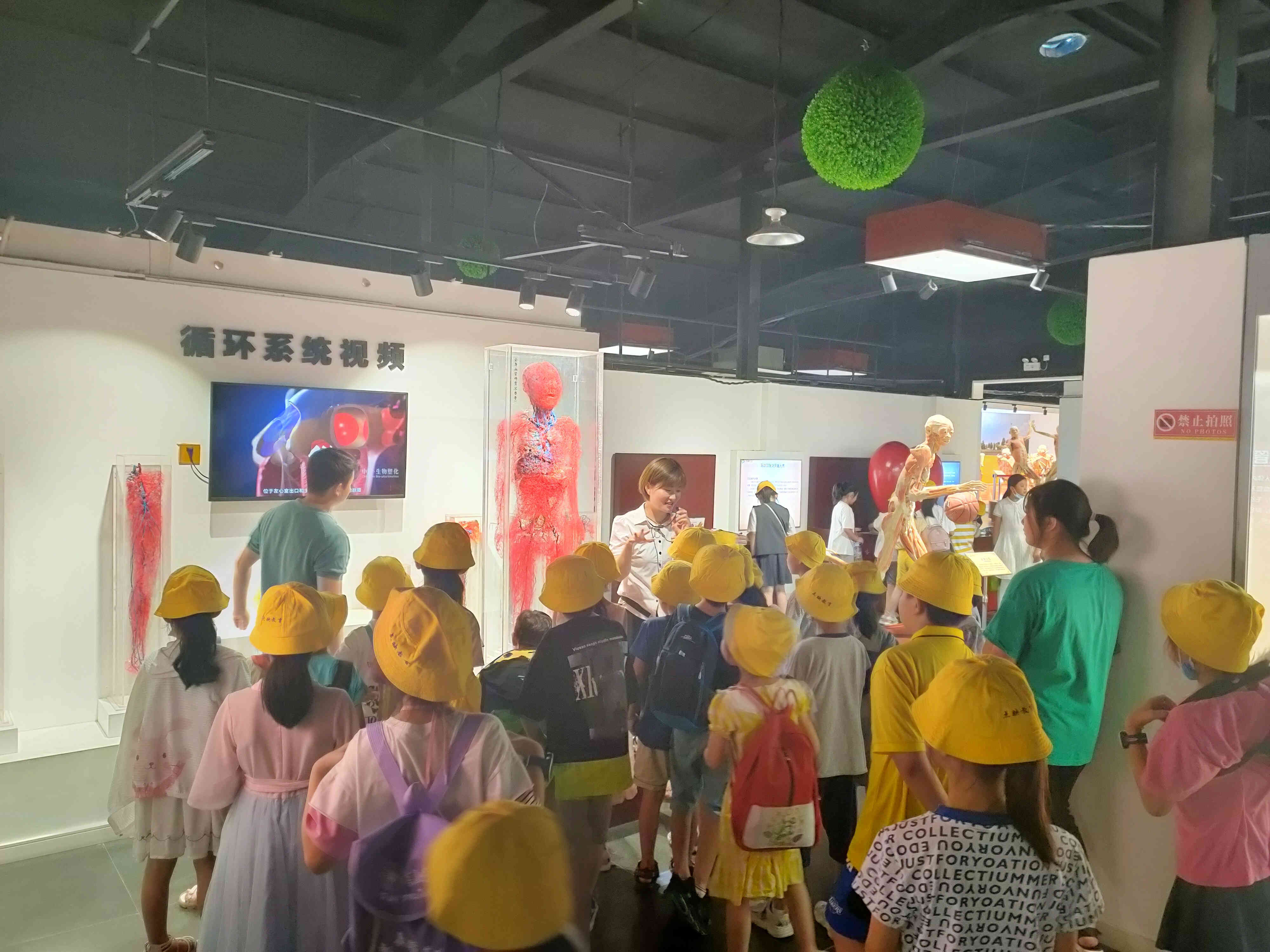 郑州生命自然科学馆,生命科学馆之旅