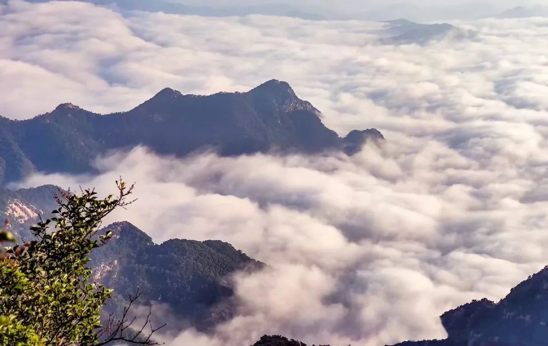 在泰山看黄河,在泰山既看日出又看日落