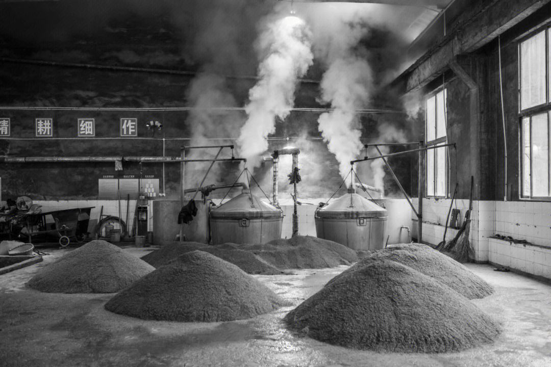 每天了解一个专业软件工程,酿酒专业涉及的课程与知识