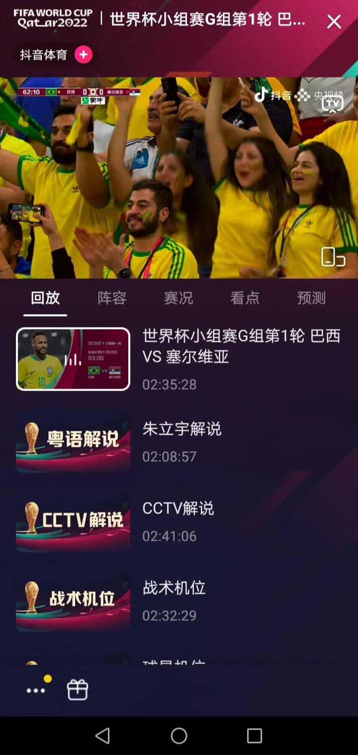 世界杯无障碍直播回放日本,世界杯直播录像回放日本