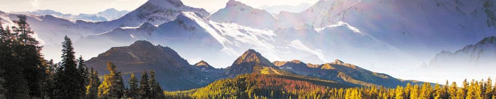 毛料成品加工,一吨毛料多少钱