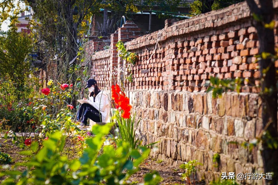 漫步大连风景区,漫步大连风景