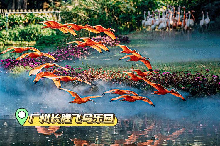 五一假期广东迎客人次,广东五一旅游人次