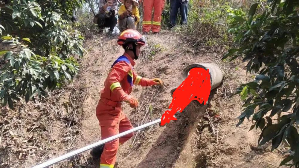 两条巨蟒潜入村庄疯狂捕食家禽,20斤大蟒蛇现身鸡笼吞鸡吓坏居民