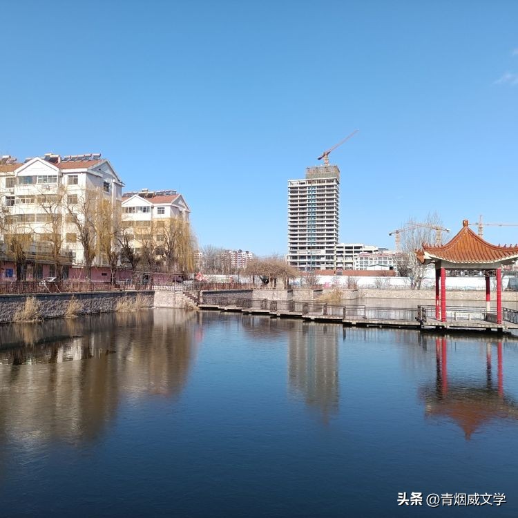 七律登庐山草书,七律登明月楼诗